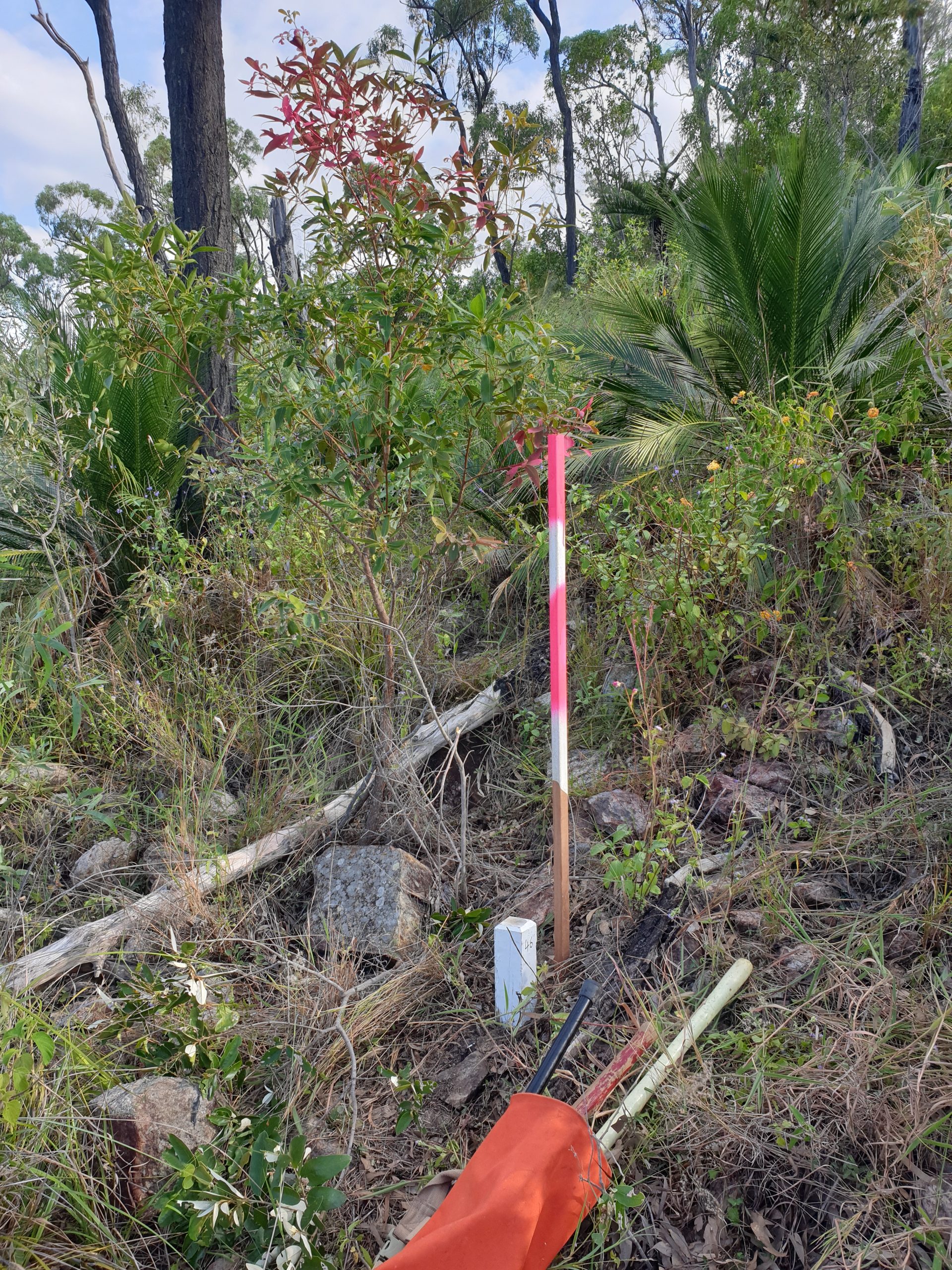boundary peg in the ground